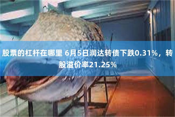 股票的杠杆在哪里 6月5日润达转债下跌0.31%，转股溢价率21.25%