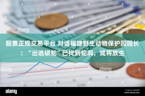 股票正规交易平台 对话福建野生动物保护园园长：“出逃蟒蛇”已找到蛇洞，或将放生