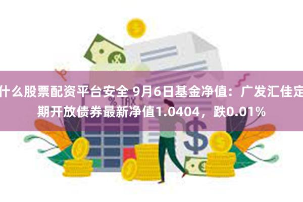 什么股票配资平台安全 9月6日基金净值：广发汇佳定期开放债券最新净值1.0404，跌0.01%