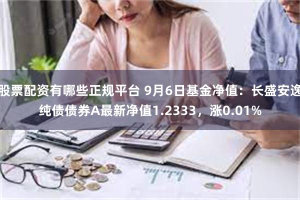 股票配资有哪些正规平台 9月6日基金净值：长盛安逸纯债债券A