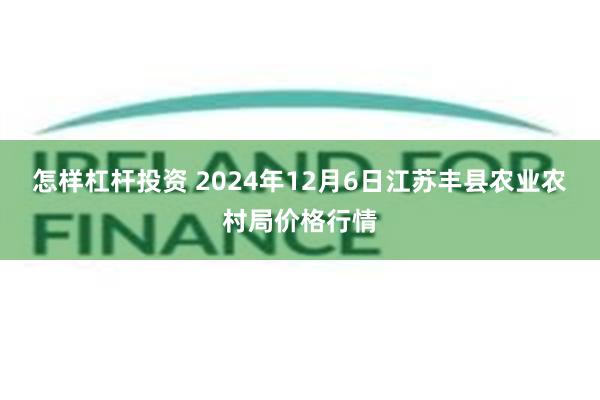 怎样杠杆投资 2024年12月6日江苏丰县农业农村局价格行情