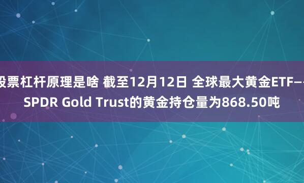 股票杠杆原理是啥 截至12月12日 全球最大黄金ETF——SPDR Gold Trust的黄金持仓量为868.50吨