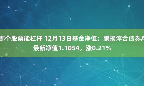 哪个股票能杠杆 12月13日基金净值：鹏扬淳合债券A最新净值1.1054，涨0.21%