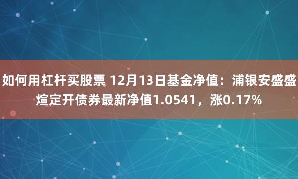 如何用杠杆买股票 12月13日基金净值：浦银安盛盛煊定开债券最新净值1.0541，涨0.17%