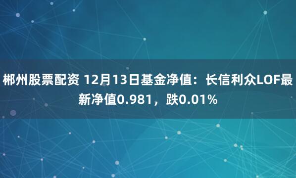 郴州股票配资 12月13日基金净值：长信利众LOF最新净值0.981，跌0.01%