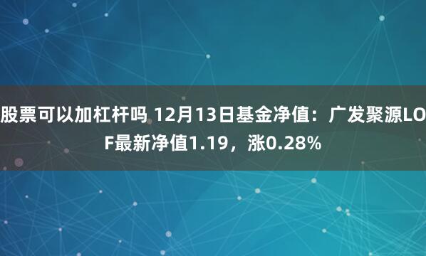 股票可以加杠杆吗 12月13日基金净值：广发聚源LOF最新净值1.19，涨0.28%