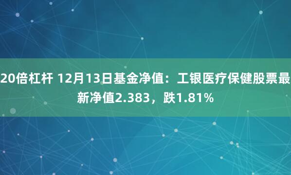 20倍杠杆 12月13日基金净值：工银医疗保健股票最新净值2.383，跌1.81%