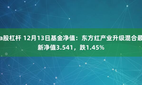 a股杠杆 12月13日基金净值：东方红产业升级混合最新净值3.541，跌1.45%