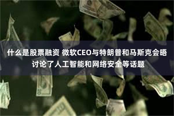 什么是股票融资 微软CEO与特朗普和马斯克会晤 讨论了人工智能和网络安全等话题